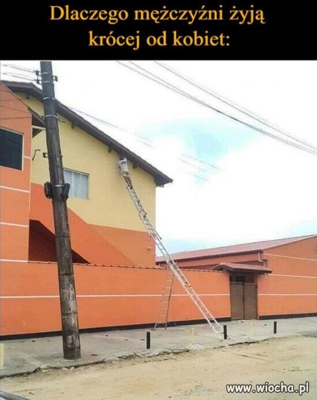 Bez polityki