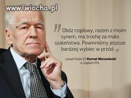 Cytaty kretynow