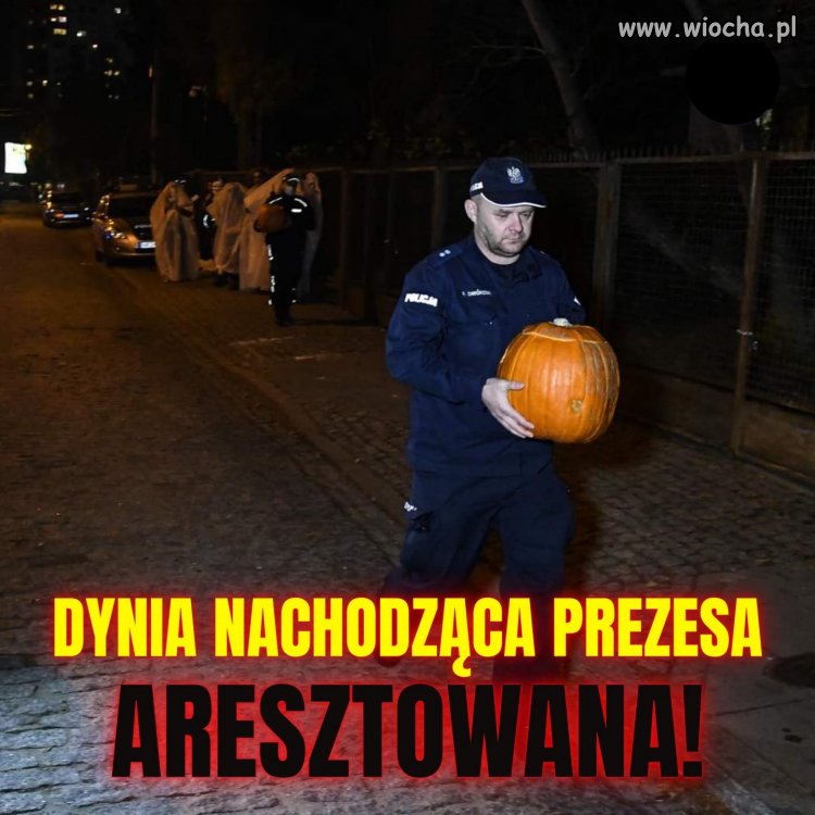 Wielki sukces PiSowskiej milicji ...