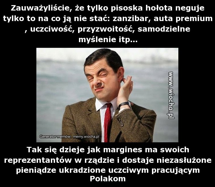 Zauważyliście, że tylko pisoska hołota neguje
