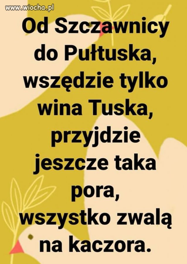 Jestem za