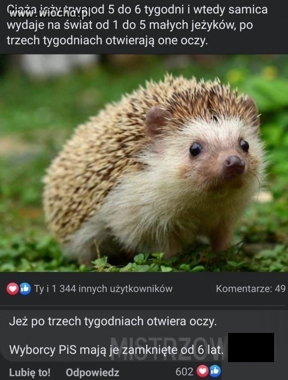 Nawet przyroda wie ze pisowskie szmaty...