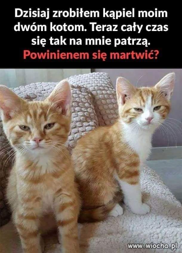 Rude to wredne 