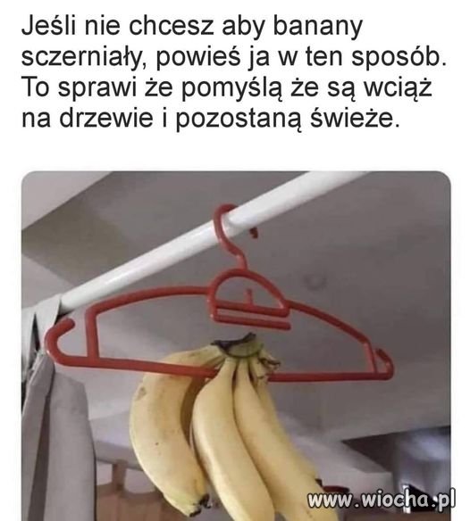 To jest myśl