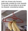 To jest myśl