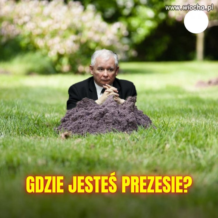 Poszukiwania trwają ...