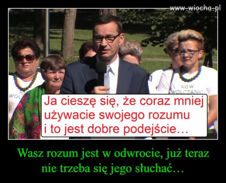 Przesłanie Matołuszka do jego wiernego elektoratu 