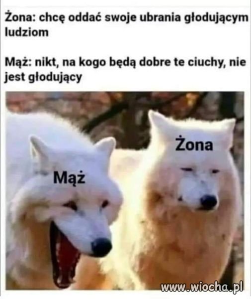 Odważny cwaniaczek