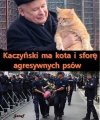 Ma kota i sforę agresywnych  psów