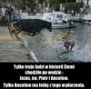 Wypił Red bula 