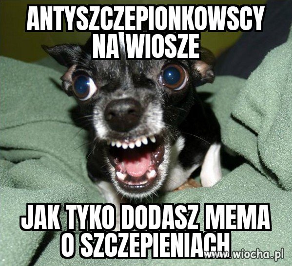 Całuski dla wszystkich niezaszczepionych