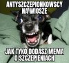 Całuski dla wszystkich niezaszczepionych