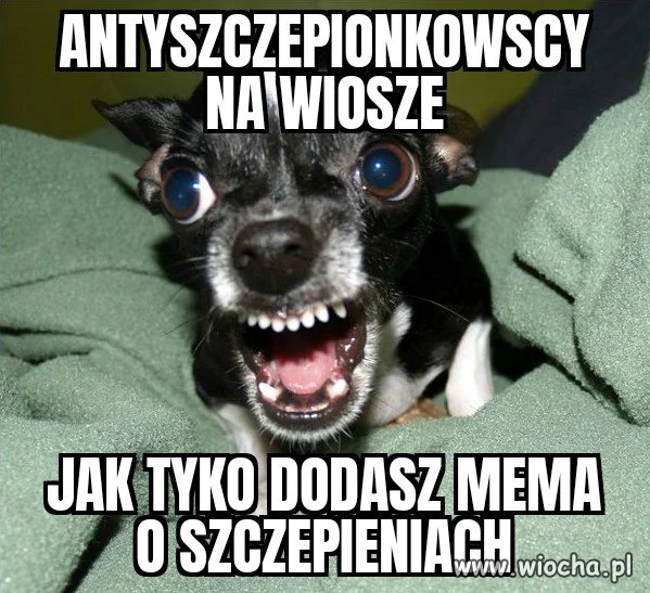 Całuski dla wszystkich niezaszczepionych