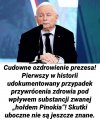 Cudownie ożył.