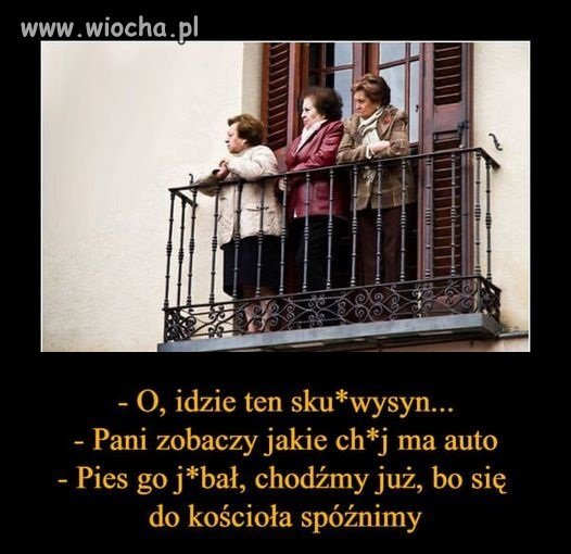 Typowe katolicko-pisowskie