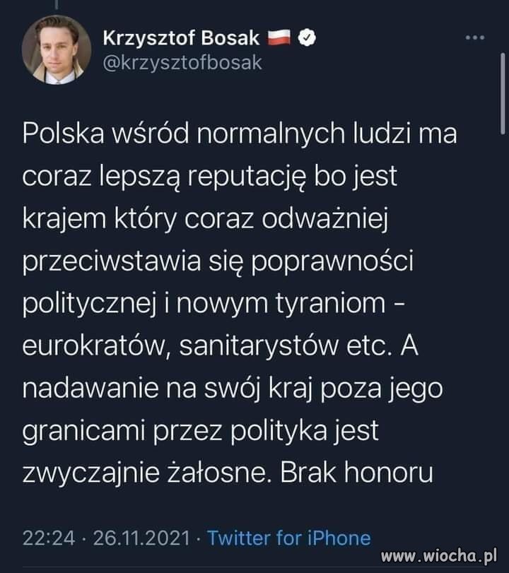 Krzysio 