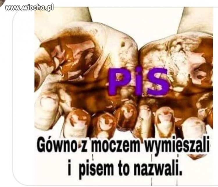 Piss and Shit ...