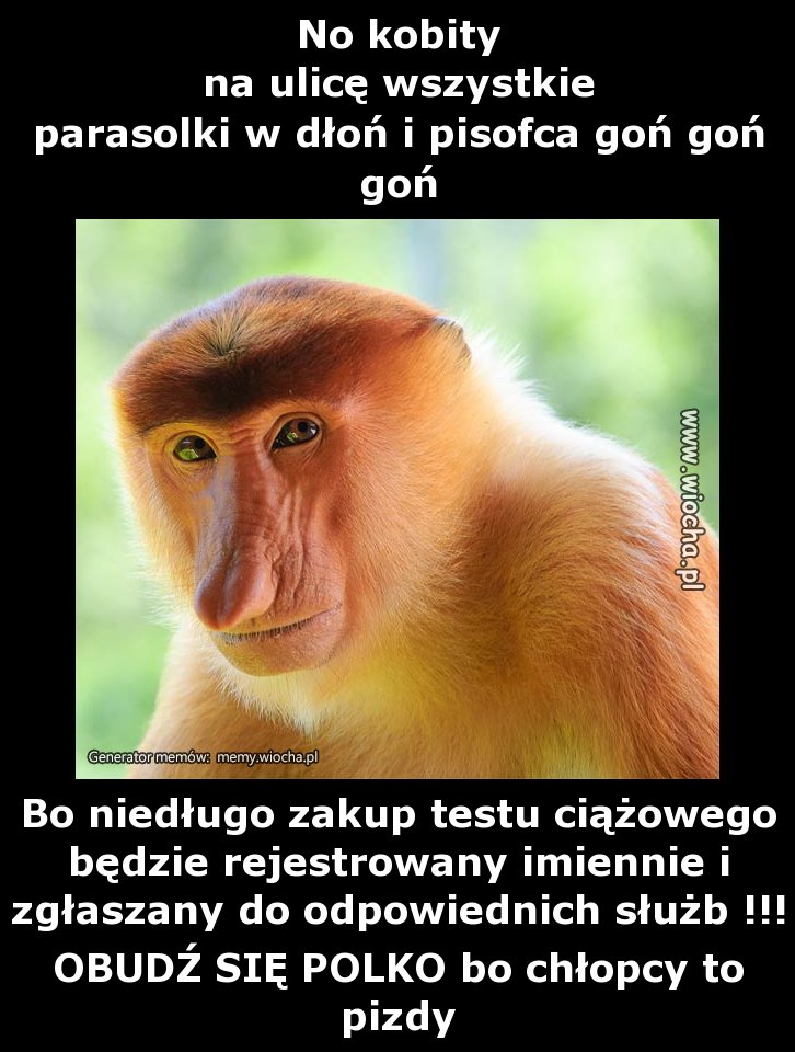 No kobity