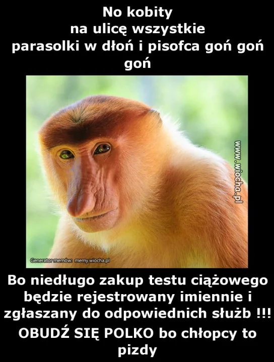 No kobity
