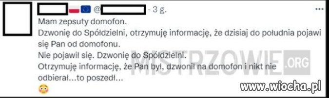 Znalezione 