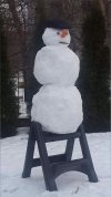 Wodzu prowadź