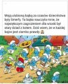 Przypadek?
