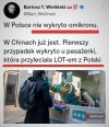 Ciekawe