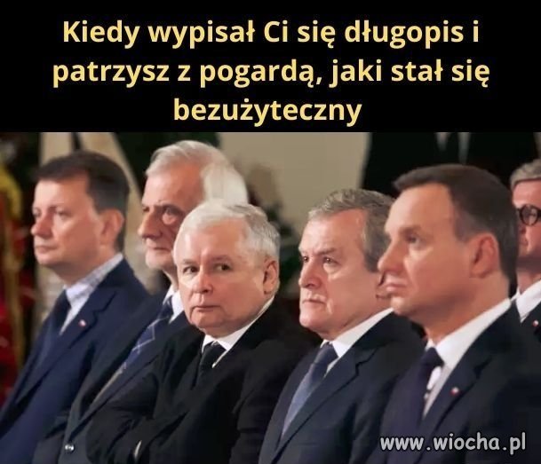 Coś w tym jest