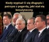 Coś w tym jest