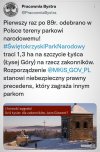 To się w pale nie mieści