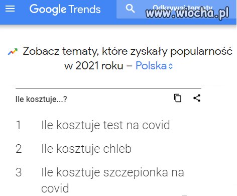 Realia Polskiego Internetu