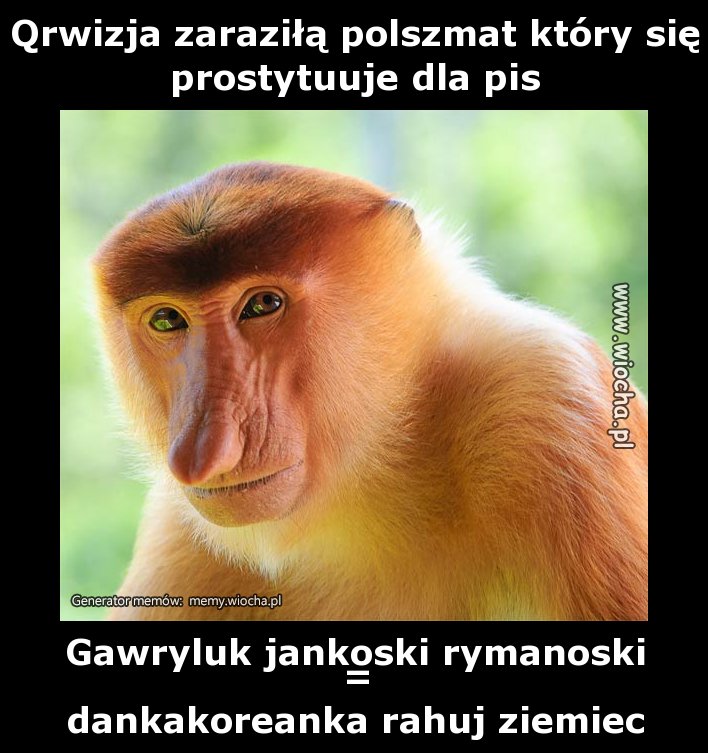 Qrwizja zaraziłą polszmat który się prostytuuje