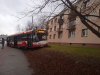 Autobus, gdy zobaczy zieloną trawkę , żeruje...
