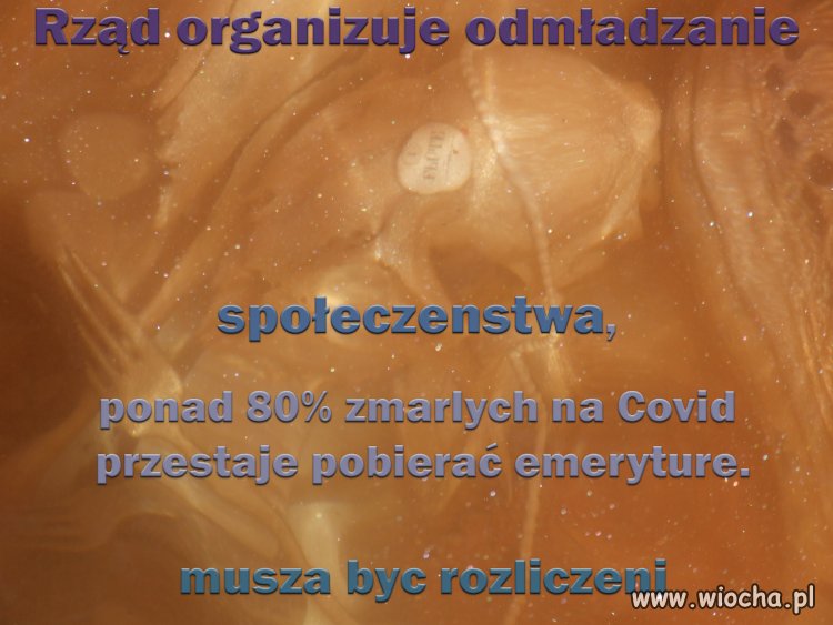 Pisowski Nierzad