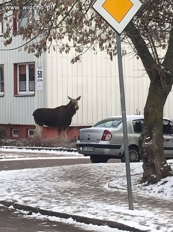 Fajnie na tej dzielni pod blokiem