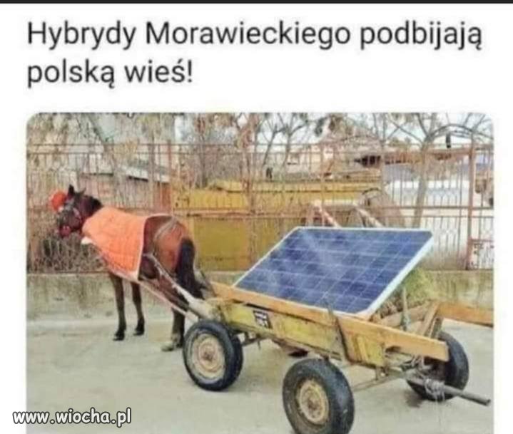 Hybryda 