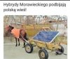 Hybryda 
