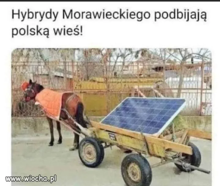 Hybryda 
