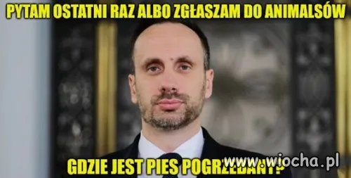 Z cyklu złote pytania Janusza k