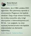 Świadek koronny 