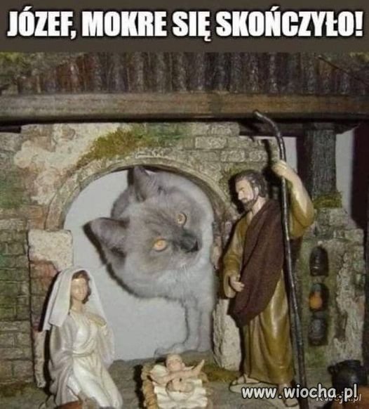 Tymczasem w szopce :)