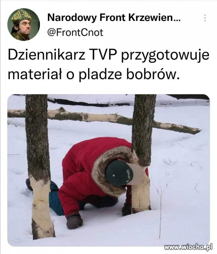 Musi to być