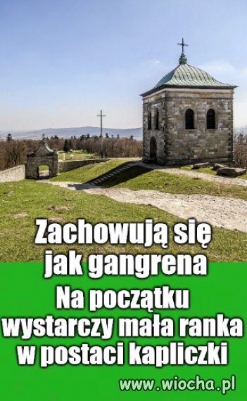Świętokrzyski Park Narodowy straci ponad hektar 