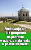 Świętokrzyski Park Narodowy straci ponad hektar 