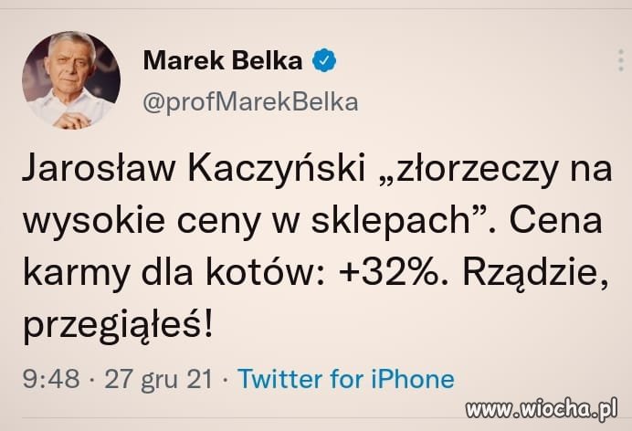 Kot Jarka dostał mniej żarcia 