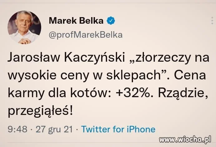 Kot Jarka dostał mniej żarcia 