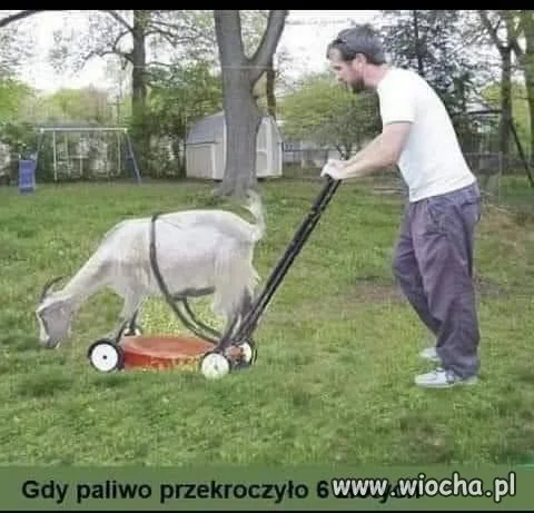 Ekologiczna kosiarka 
