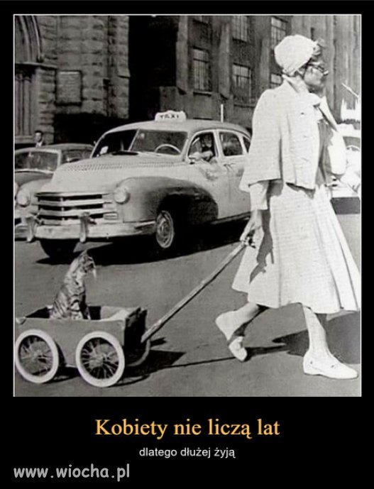 Panie wyprzedzają panów nie tylko, jeśli chodzi o urodę.