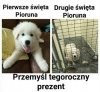 Popieram