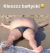Ponieważ za oknem snieg